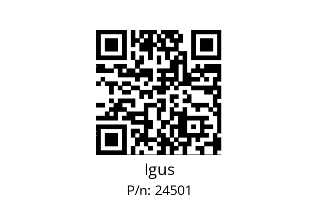   Igus 24501