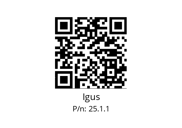   Igus 25.1.1