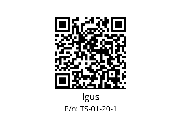   Igus TS-01-20-1