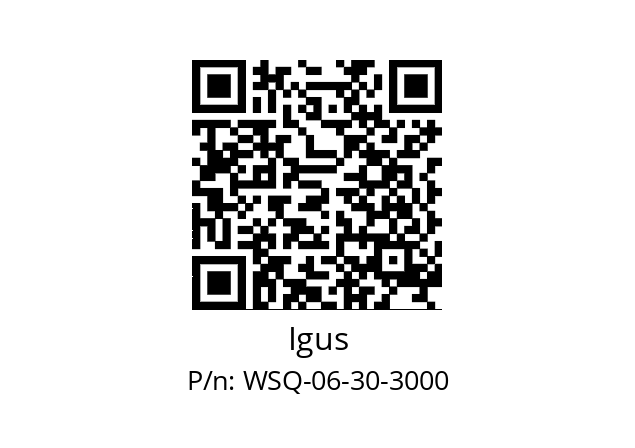   Igus WSQ-06-30-3000