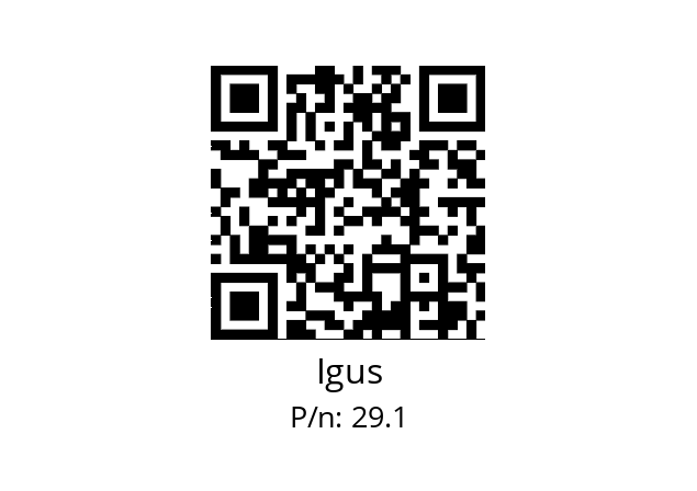   Igus 29.1