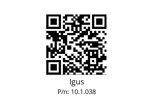   Igus 10.1.038