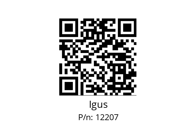   Igus 12207