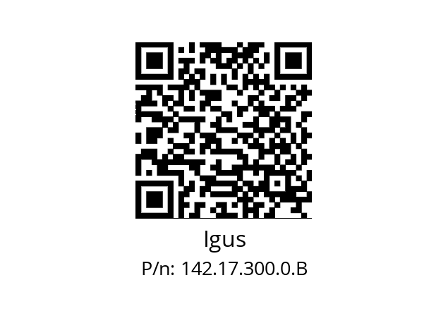   Igus 142.17.300.0.B