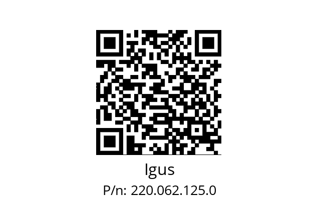   Igus 220.062.125.0