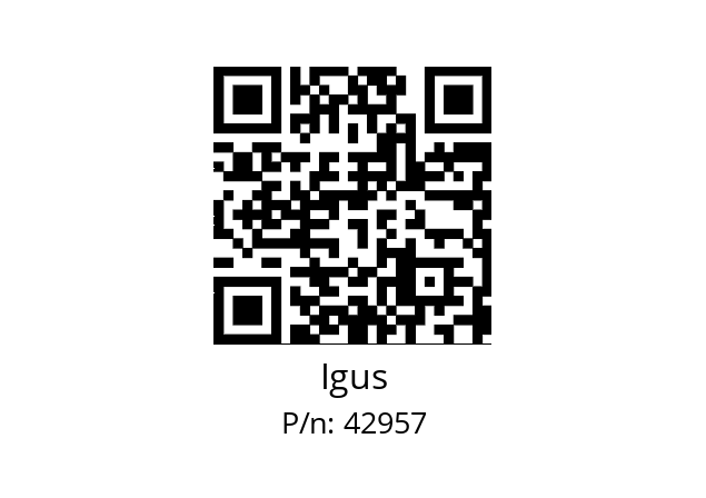   Igus 42957