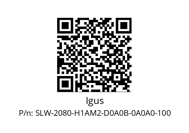   Igus SLW-2080-H1AM2-D0A0B-0A0A0-100