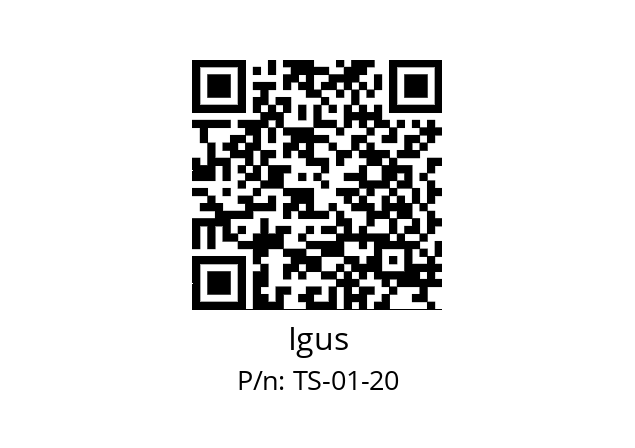   Igus TS-01-20