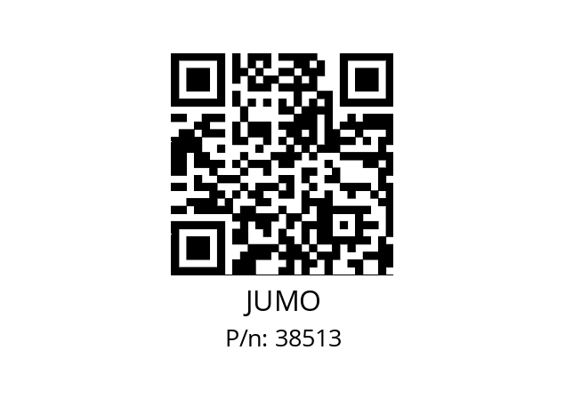   JUMO 38513