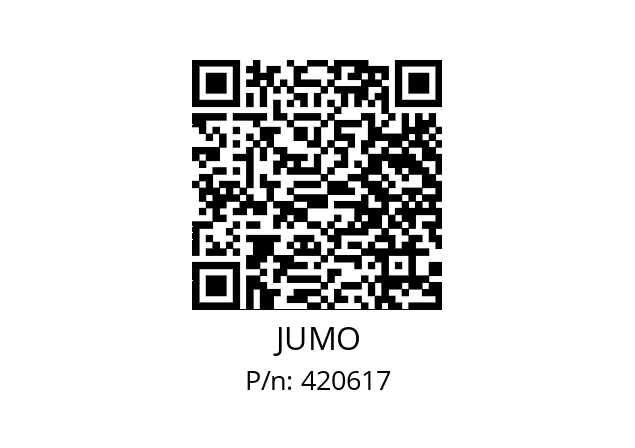  202924/10-0001-1003-613-37-31-31/000 JUMO 420617