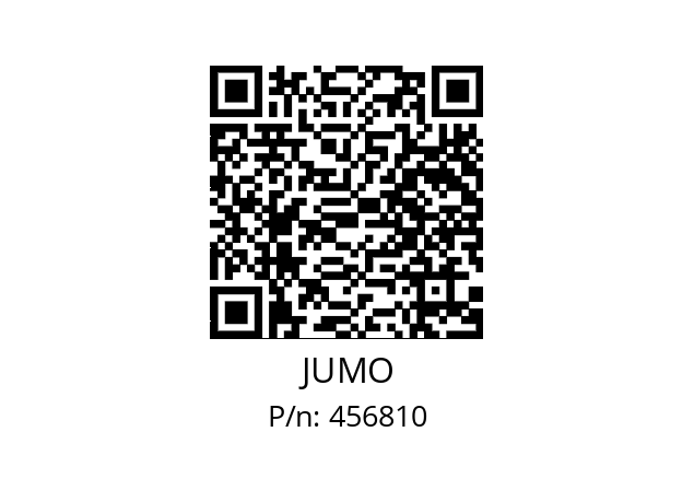  202924/20-0001-1003-613-83-31-31/000 JUMO 456810