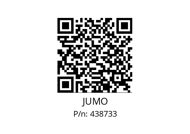  701060/811-02 JUMO 438733