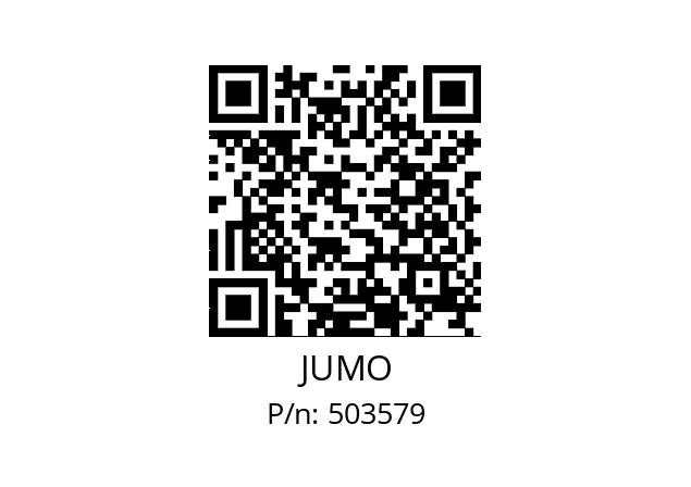   JUMO 503579