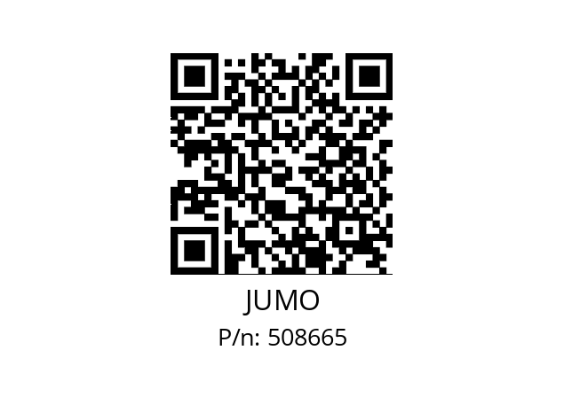  202723/888-000-000/000 JUMO 508665