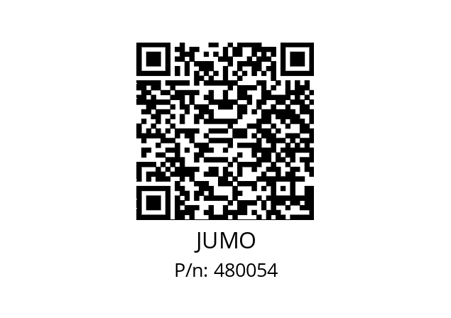  202565/20-888-000-310-000-23/000 JUMO 480054