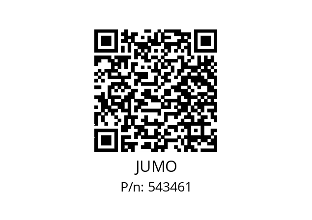  709062/8-01-050-001-400-00/252 JUMO 543461