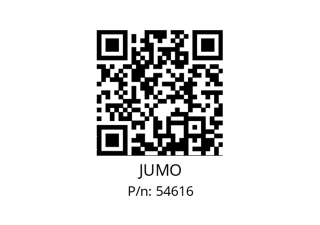   JUMO 54616