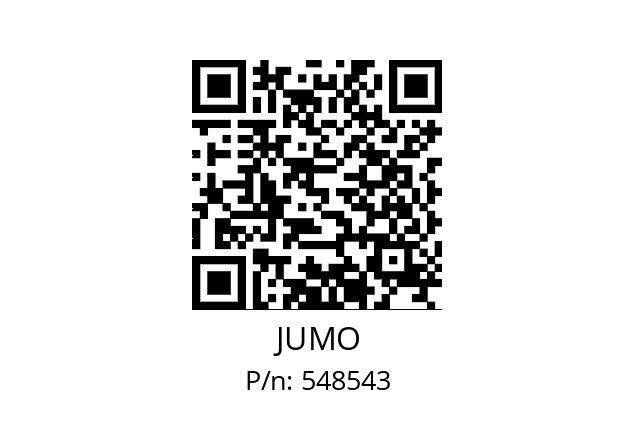   JUMO 548543