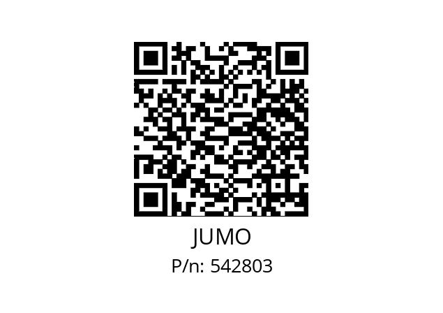  902023/10-402-1003-1-6-300-104/000 JUMO 542803