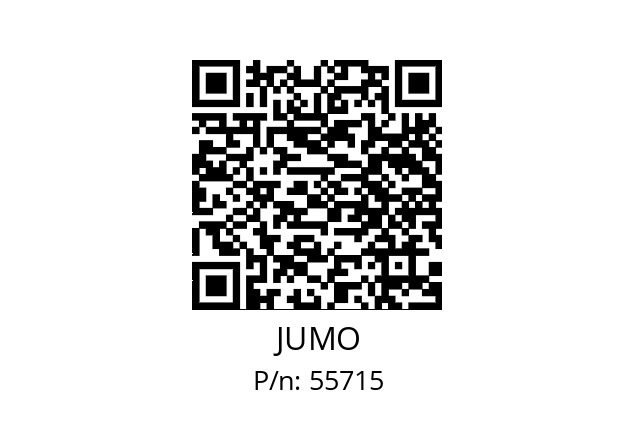  902150/40-397-1003-1-6-60-11-2500/317, JUMO 55715