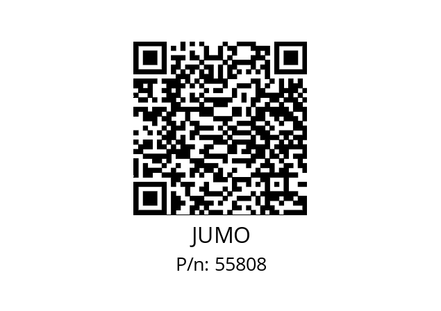  902190/20-388-1003-1-6-190-13-2500/317, JUMO 55808