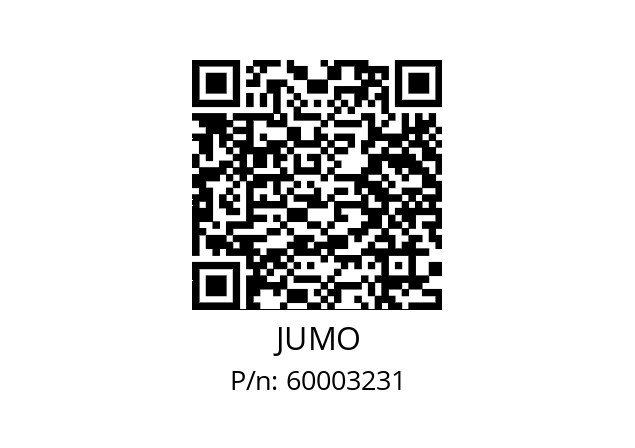  603070/0120-5-026-671-25-2000-40-29-13-46-100-8-6 JUMO 60003231