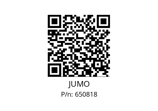  902520/22-573-1003-1/000 JUMO 650818