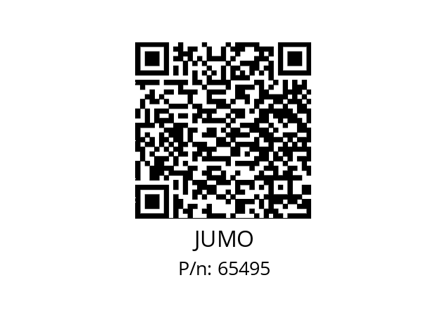  902150/20-730-1003-1-6-50-11-1100/000 JUMO 65495