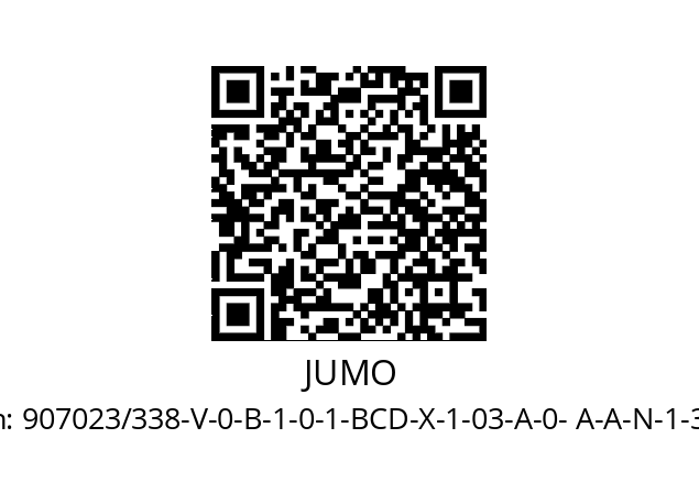   JUMO 907023/338-V-0-B-1-0-1-BCD-X-1-03-A-0- A-A-N-1-3A1