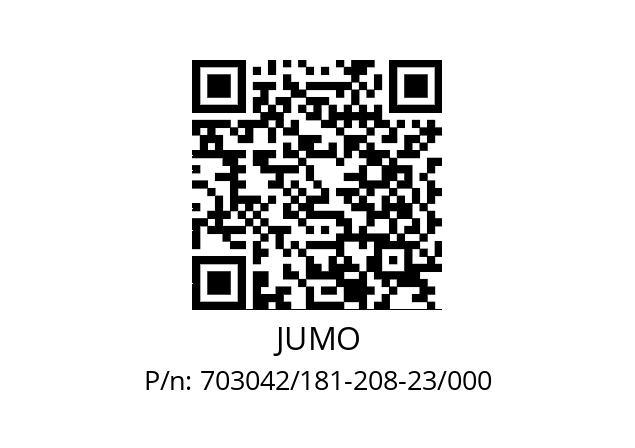   JUMO 703042/181-208-23/000