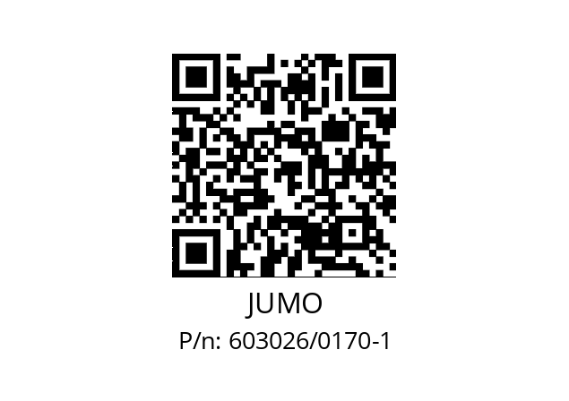   JUMO 603026/0170-1