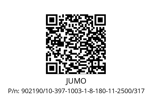   JUMO 902190/10-397-1003-1-8-180-11-2500/317