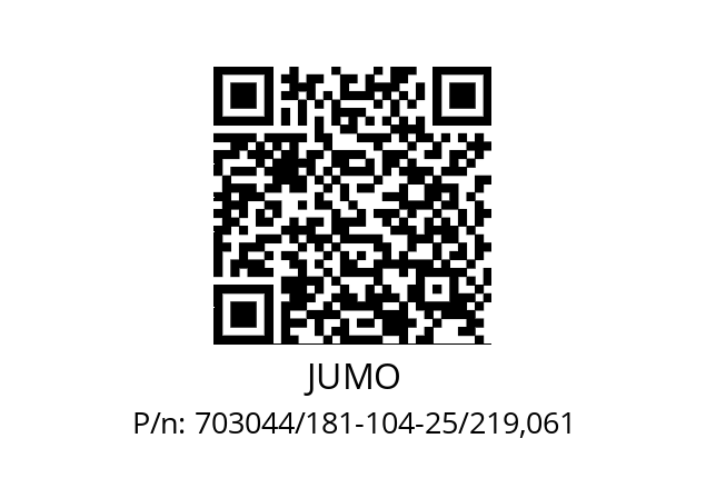   JUMO 703044/181-104-25/219,061