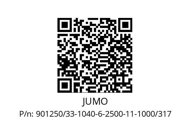   JUMO 901250/33-1040-6-2500-11-1000/317