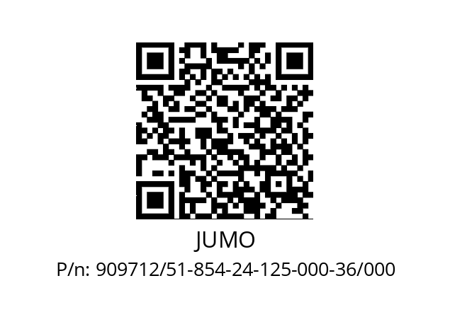   JUMO 909712/51-854-24-125-000-36/000