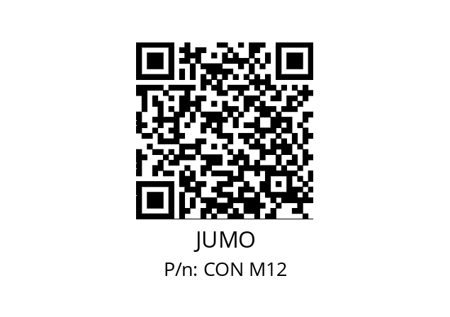   JUMO CON М12