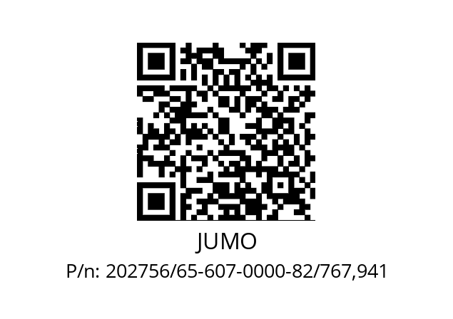   JUMO 202756/65-607-0000-82/767,941