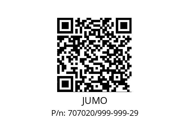   JUMO 707020/999-999-29