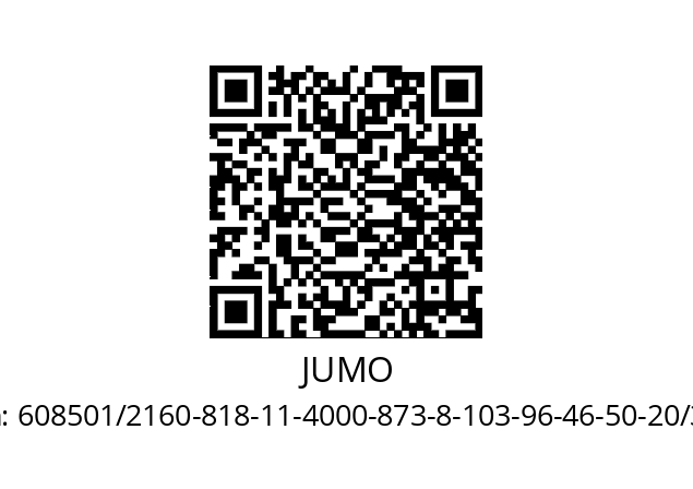   JUMO 608501/2160-818-11-4000-873-8-103-96-46-50-20/315