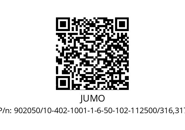   JUMO 902050/10-402-1001-1-6-50-102-112500/316,317