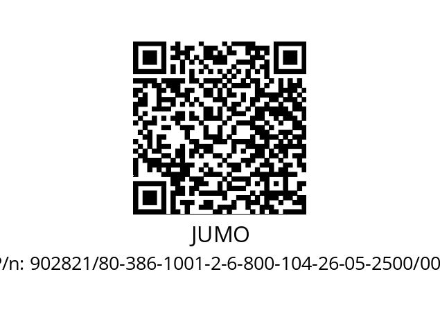   JUMO 902821/80-386-1001-2-6-800-104-26-05-2500/000