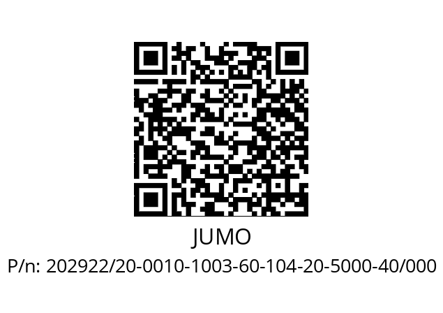   JUMO 202922/20-0010-1003-60-104-20-5000-40/000