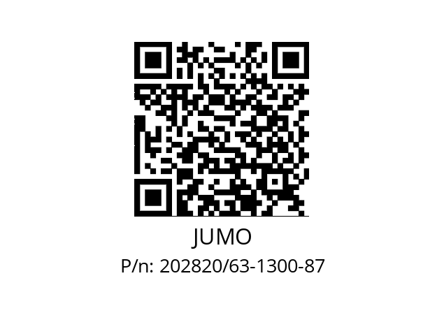   JUMO 202820/63-1300-87