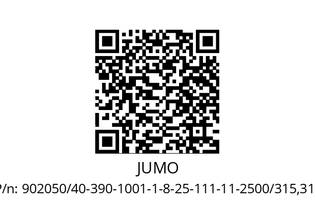   JUMO 902050/40-390-1001-1-8-25-111-11-2500/315,317