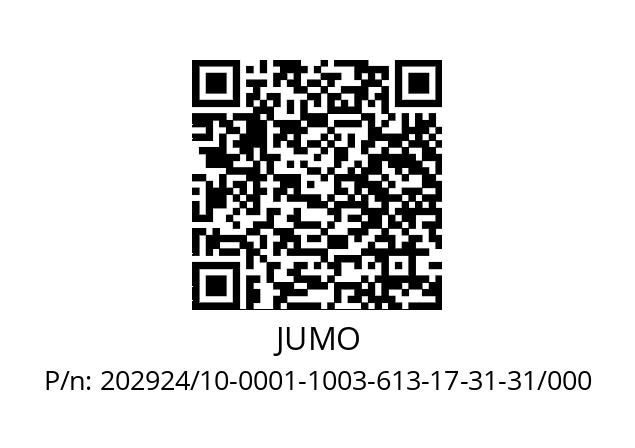   JUMO 202924/10-0001-1003-613-17-31-31/000