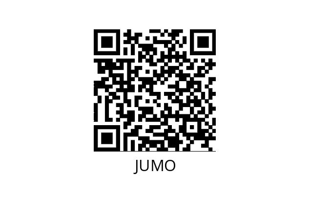  PG2-96 JUMO 