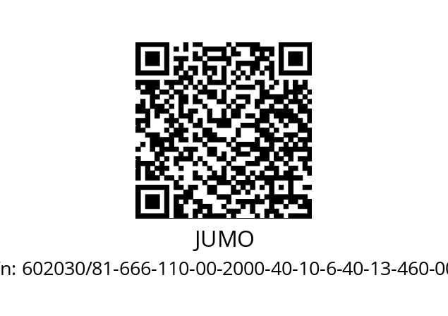   JUMO 602030/81-666-110-00-2000-40-10-6-40-13-460-000