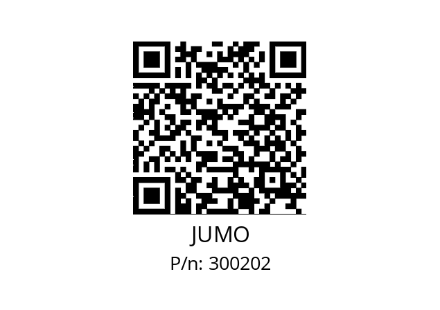   JUMO 300202