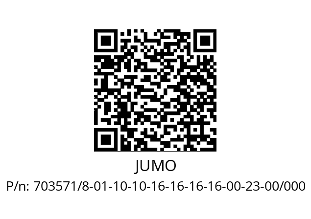   JUMO 703571/8-01-10-10-16-16-16-16-00-23-00/000