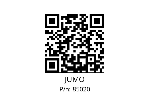   JUMO 85020